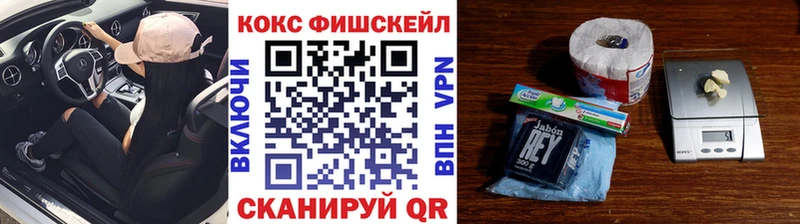 Cocaine FishScale купить закладку Ковдор