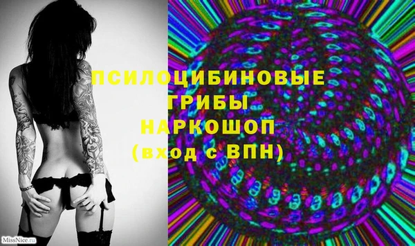 спиды Каменск-Шахтинский
