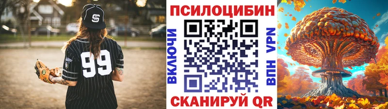 сколько стоит  Ковдор  Псилоцибиновые грибы мухоморы 